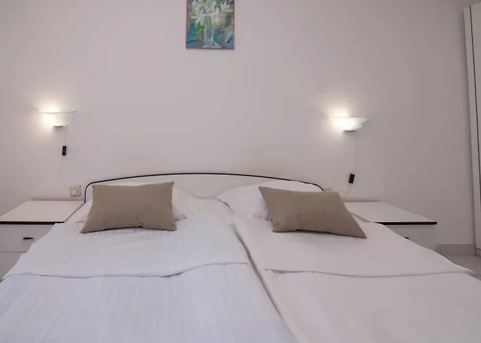 Pensiune Sv. Martin 3*